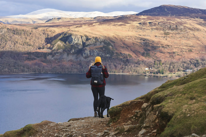 The Maverick Collection