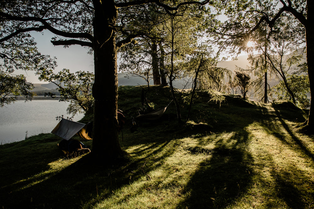 A lakeside campsite during dusk, with a tarp shelter among trees